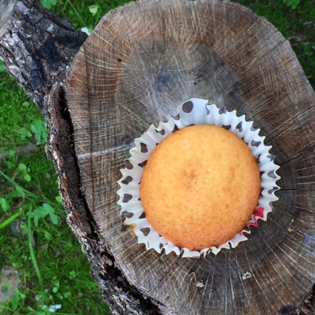 muffin perfetti senza glutine